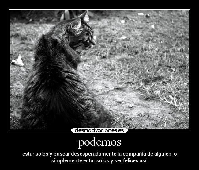 podemos - estar solos y buscar desesperadamente la compañía de alguien, o
simplemente estar solos y ser felices así.