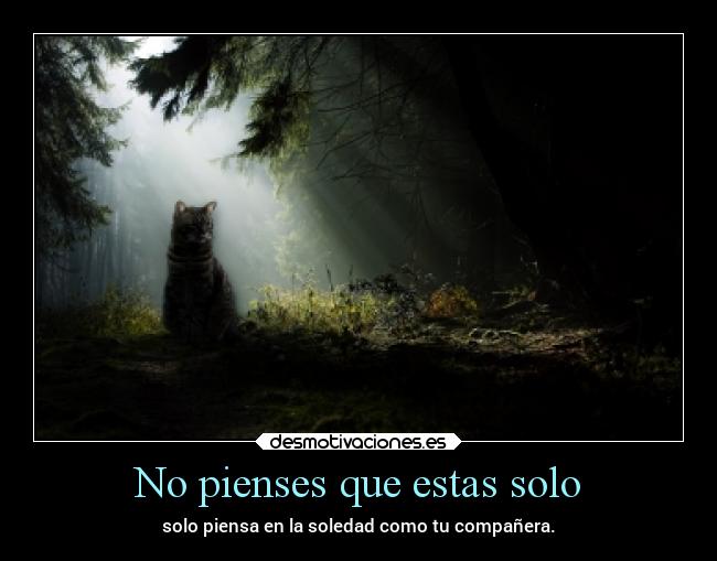No pienses que estas solo - solo piensa en la soledad como tu compañera.