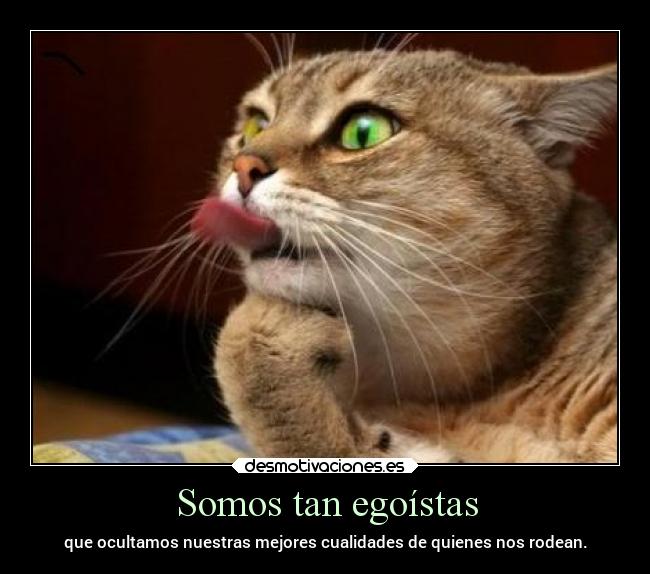 Somos tan egoístas -