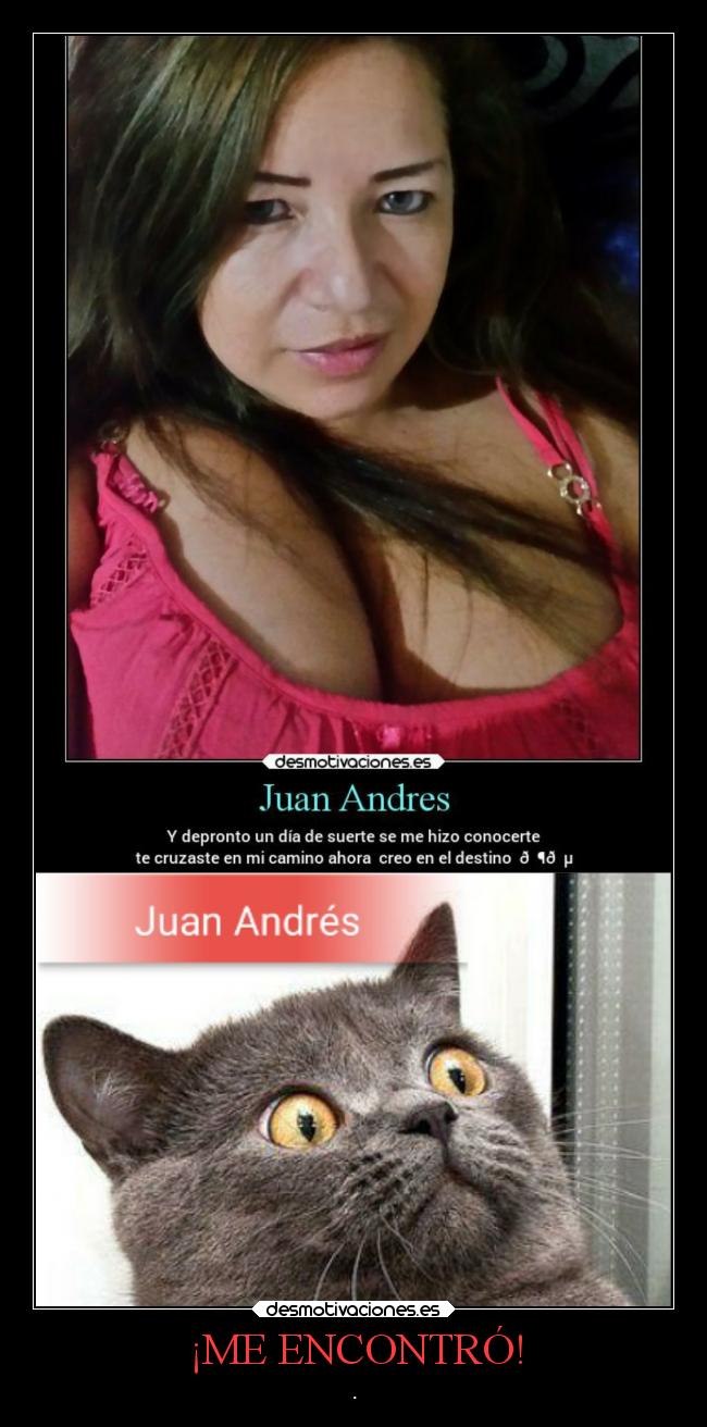 carteles tetas vida gato cani panchi jose andres desmotivaciones