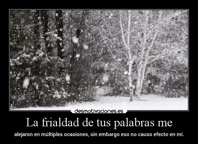 carteles vida andrew iceforest thesmokingpoet latinta sinideas desmotivaciones