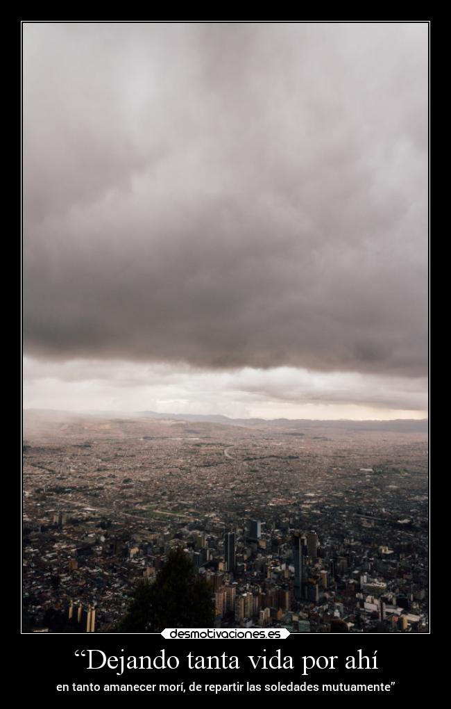 “Dejando tanta vida por ahí -