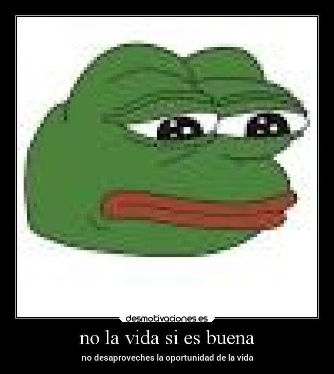 no la vida si es buena -