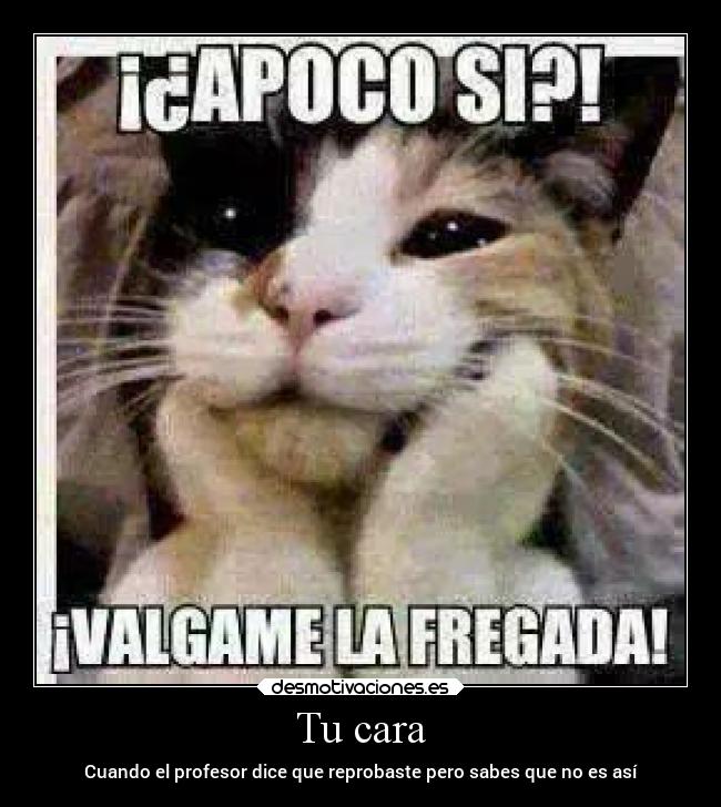 Tu cara - Cuando el profesor dice que reprobaste pero sabes que no es así