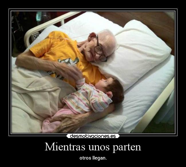 Mientras unos parten -