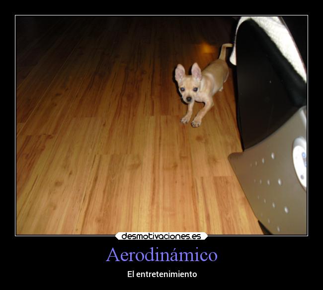 Aerodinámico - El entretenimiento