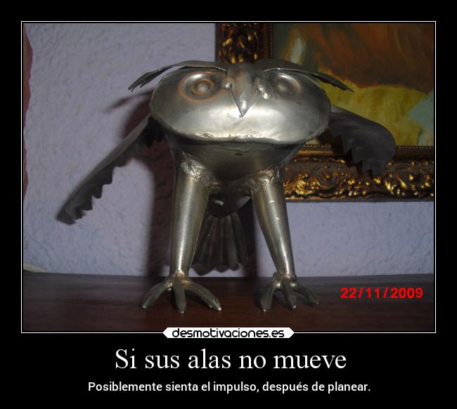 Si sus alas no mueve - Posiblemente sienta el impulso, después de planear.