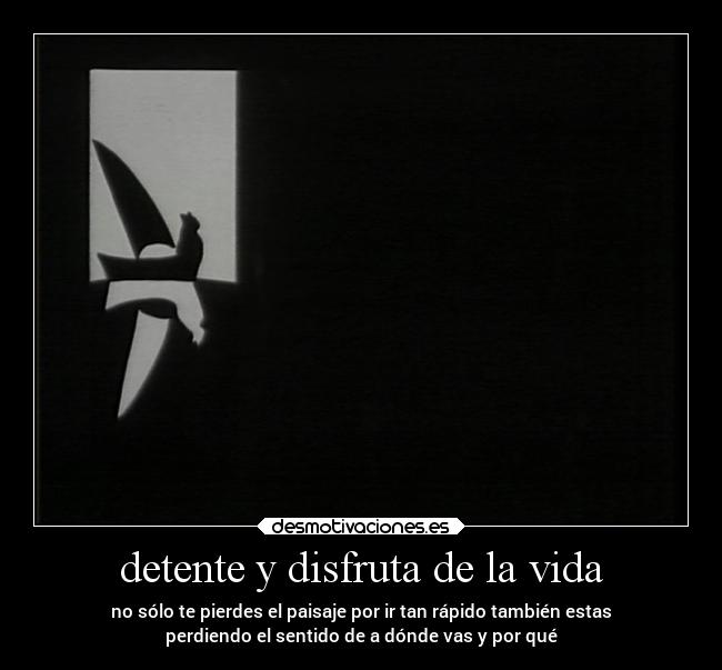 detente y disfruta de la vida - 