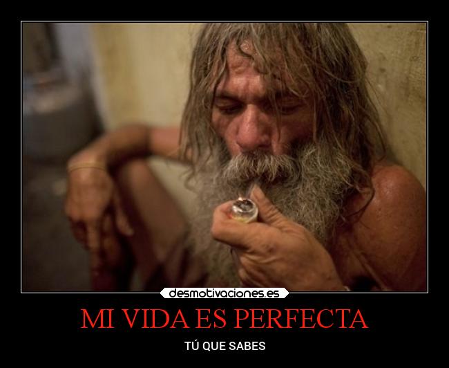 MI VIDA ES PERFECTA -
