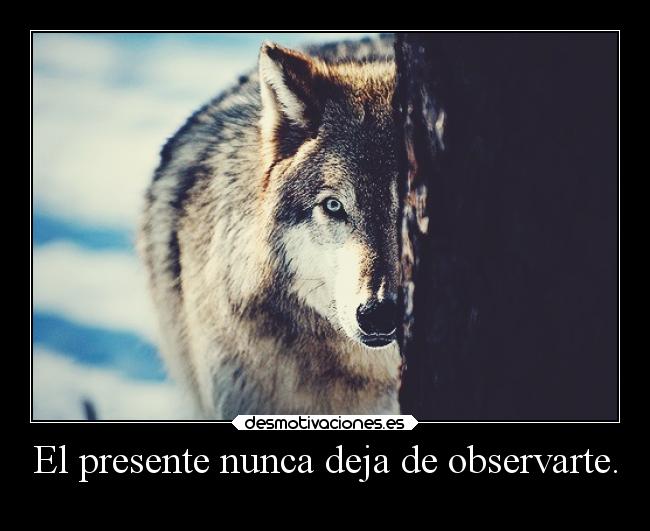 carteles vida frasecutre elchicodeayer desmotivaciones