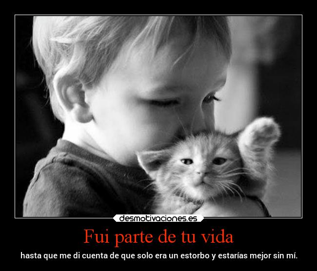 carteles vida vida gatocallejero terecuerdo yauntequiero mereciolapena porquesequeeresfeliz desmotivaciones