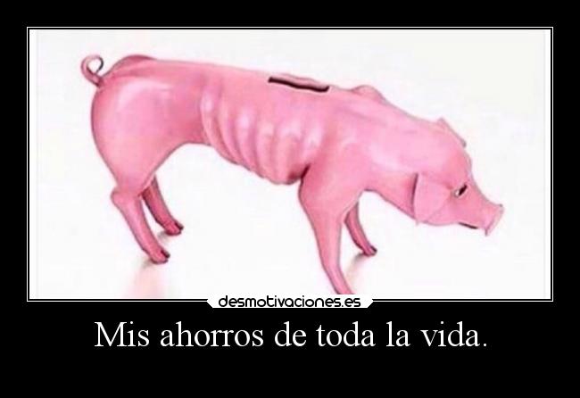 Mis ahorros de toda la vida. -