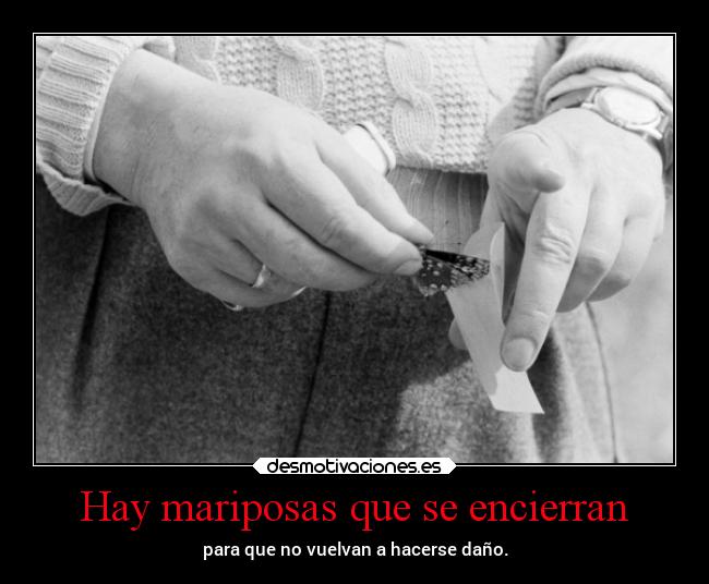 Hay mariposas que se encierran -