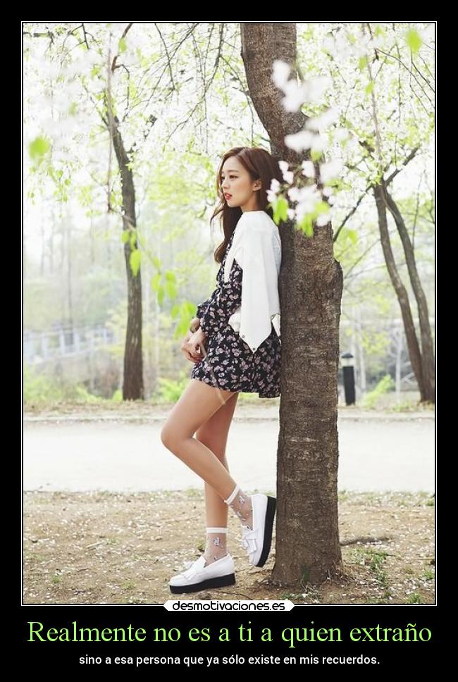 Realmente no es a ti a quien extraño - 