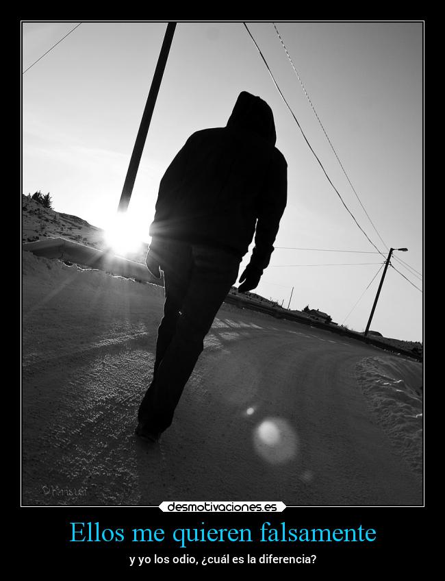 carteles vida sociedad sentimientos odio mentira amistad diferencia desmotivaciones