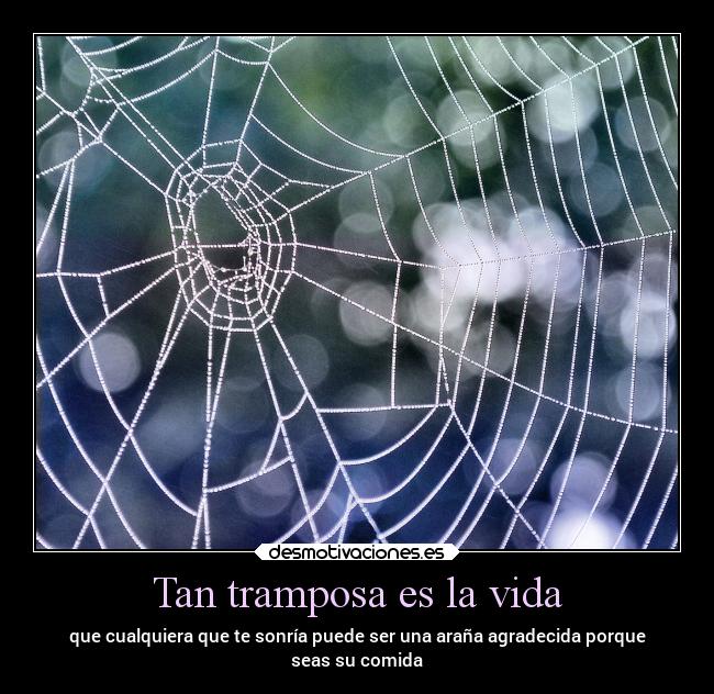 Tan tramposa es la vida - que cualquiera que te sonría puede ser una araña agradecida porque
seas su comida