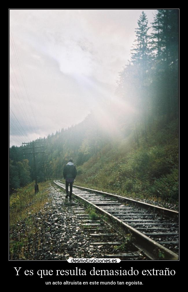Y es que resulta demasiado extraño - un acto altruista en este mundo tan egoísta.