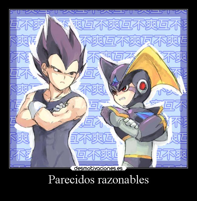 Parecidos razonables - 