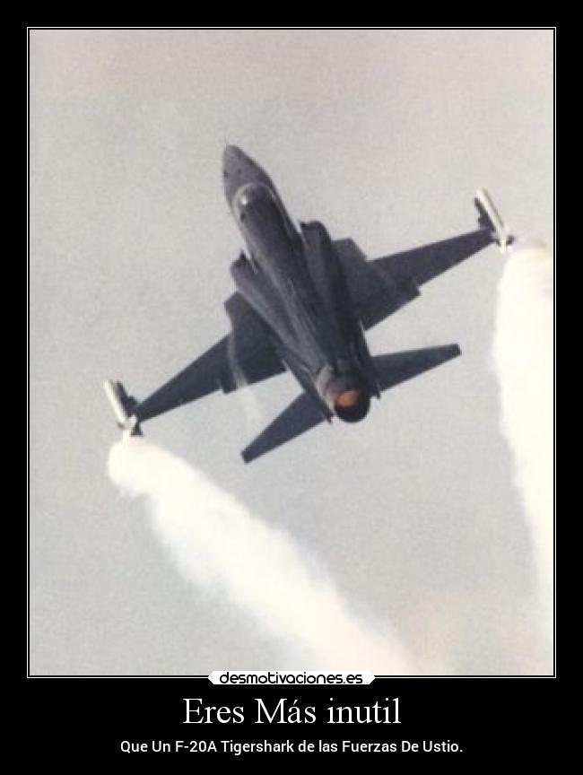 Eres Más inutil - Que Un F-20A Tigershark de las Fuerzas De Ustio.