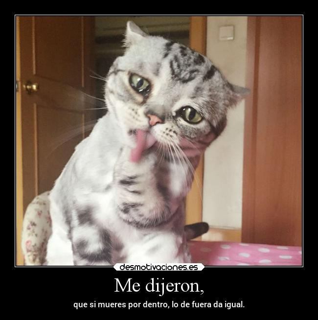 Me dijeron, - que si mueres por dentro, lo de fuera da igual.