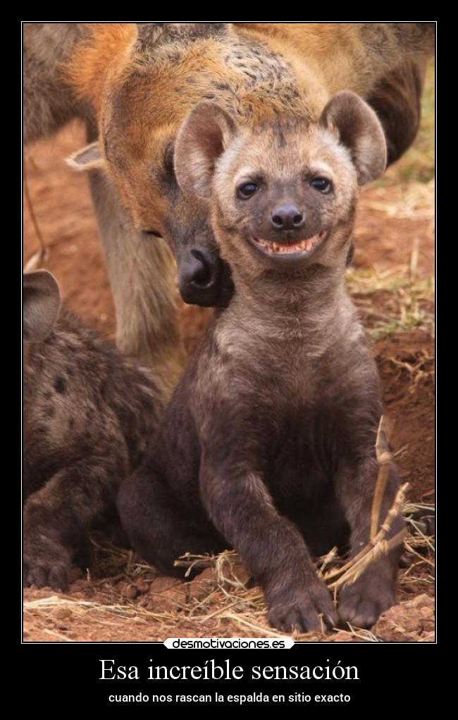 Esa increíble sensación - 