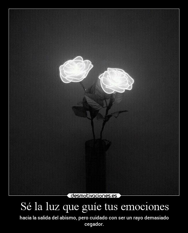 Sé la luz que guíe tus emociones - 