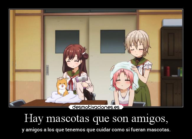 Hay mascotas que son amigos, - 