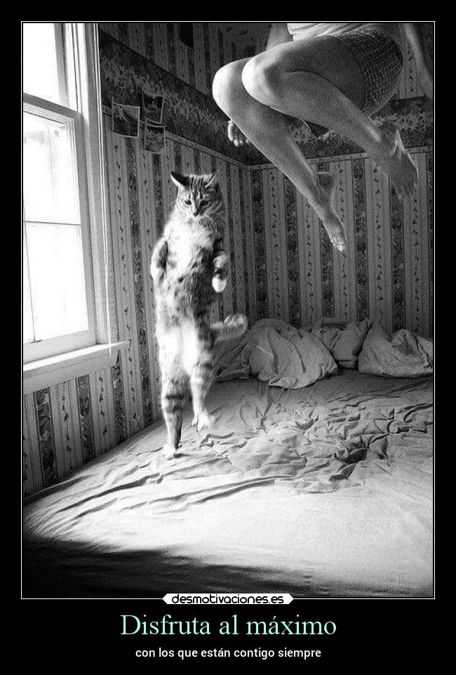 Disfruta al máximo - con los que están contigo siempre