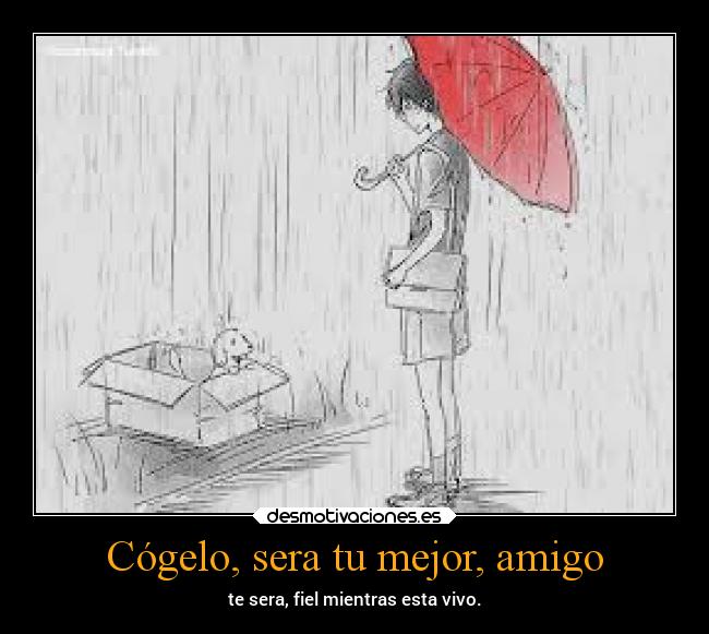 Cógelo, sera tu mejor, amigo - te sera, fiel mientras esta vivo.