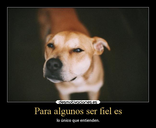 Para algunos ser fiel es - lo único que entienden.