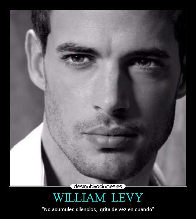 WILLIAM LEVY -