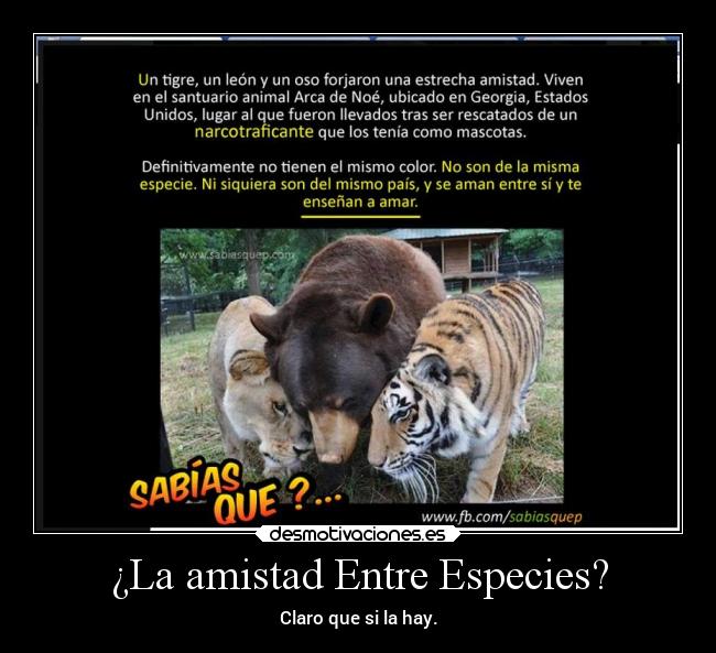 ¿La amistad Entre Especies? - Claro que si la hay.
