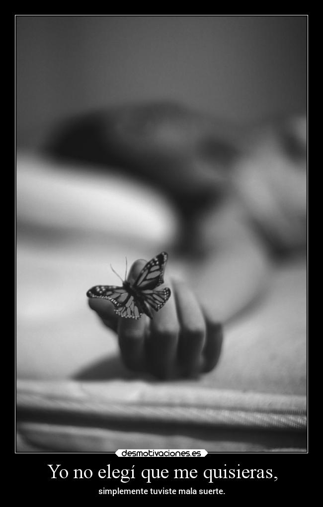 Yo no elegí que me quisieras, -