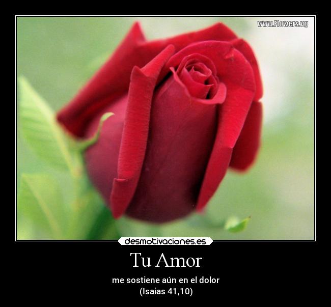 Tu Amor -