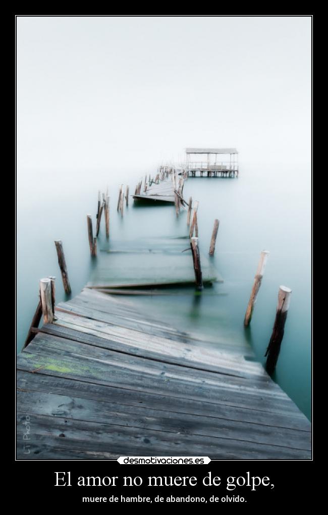 El amor no muere de golpe, - 