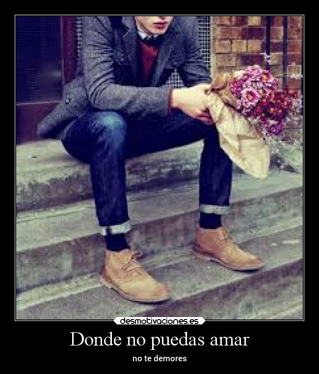 Donde no puedas amar - no te demores