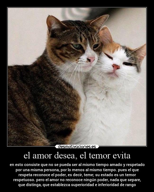 carteles amor amor desmotivaciones