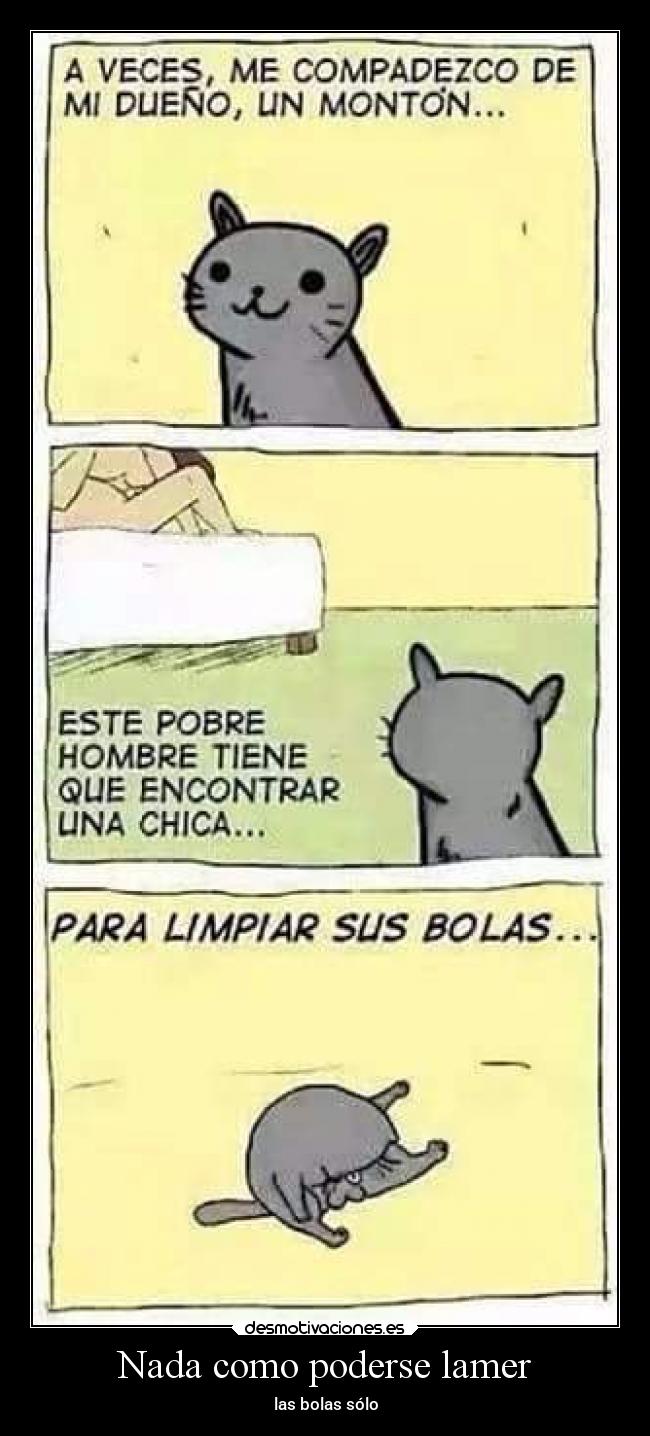 Nada como poderse lamer - las bolas sólo