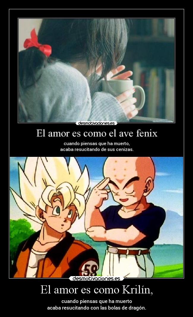 carteles amor amor humor dragonball resucitar krilin avefenix elpatodelapiovendehierba desmotivaciones