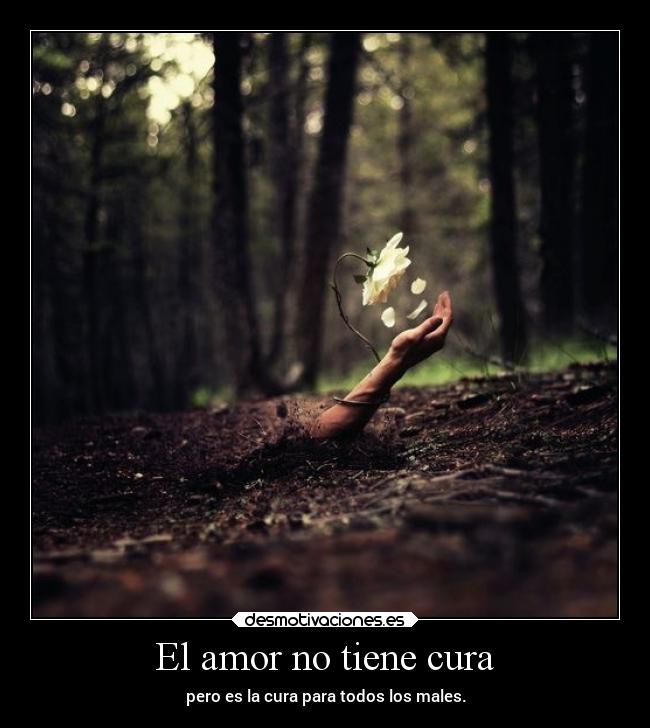 El amor no tiene cura - pero es la cura para todos los males.