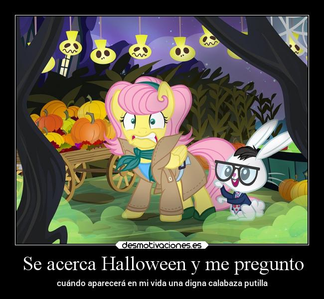 Se acerca Halloween y me pregunto - cuándo aparecerá en mi vida una digna calabaza putilla