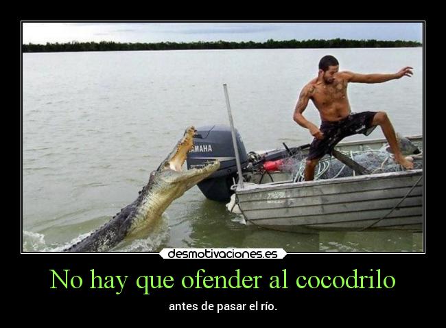 carteles animales cocodrilo desmotivaciones