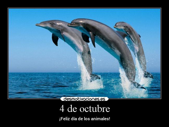4 de octubre -