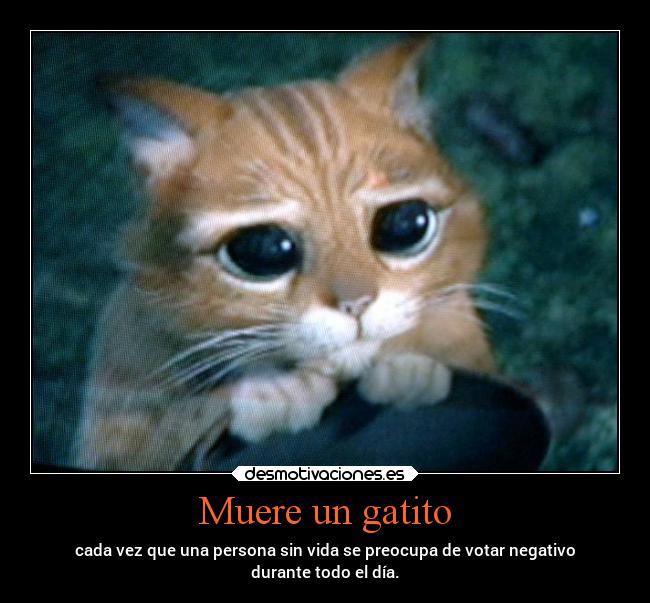 Muere un gatito - cada vez que una persona sin vida se preocupa de votar negativo
durante todo el día.