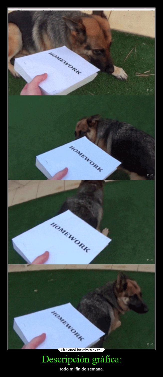 Descripción gráfica: - todo mi fin de semana.