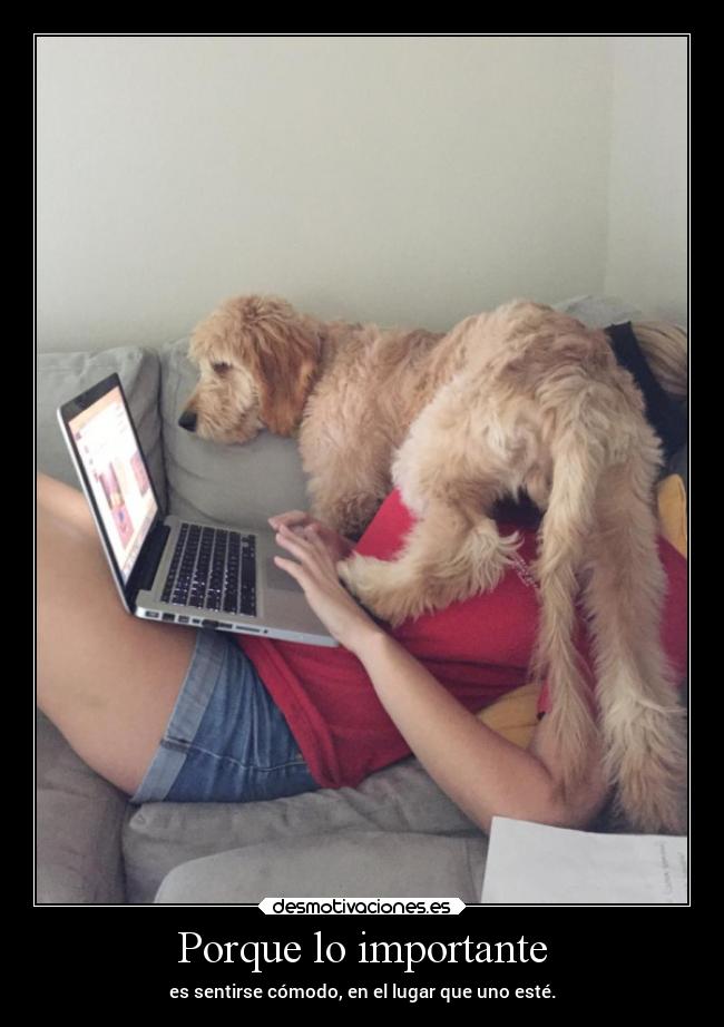 Porque lo importante - 