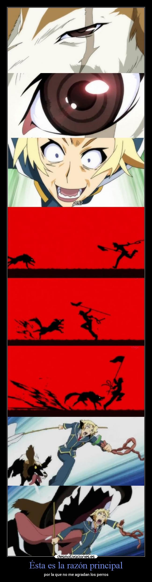 Ésta es la razón principal - por la que no me agradan los perros