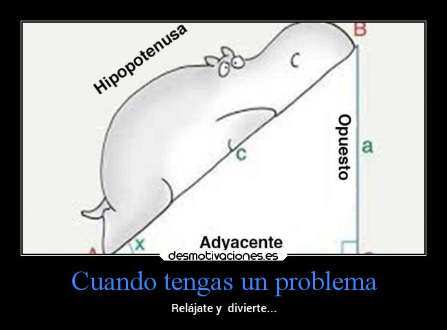 carteles animales problemas matematicas desmotivaciones