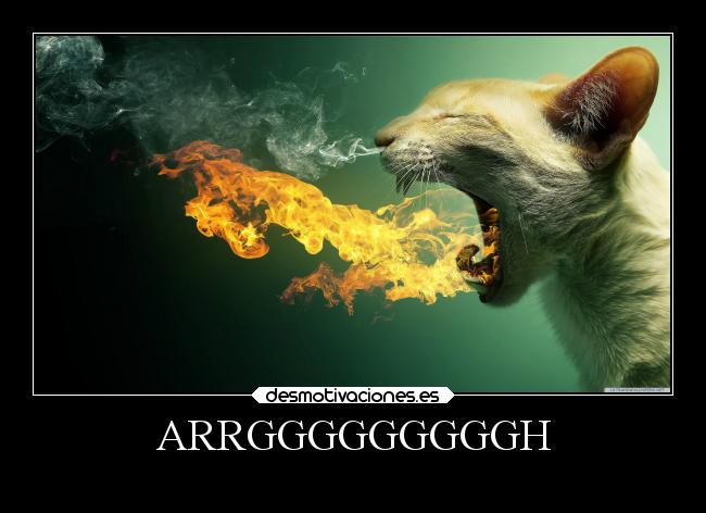ARRGGGGGGGGGH -