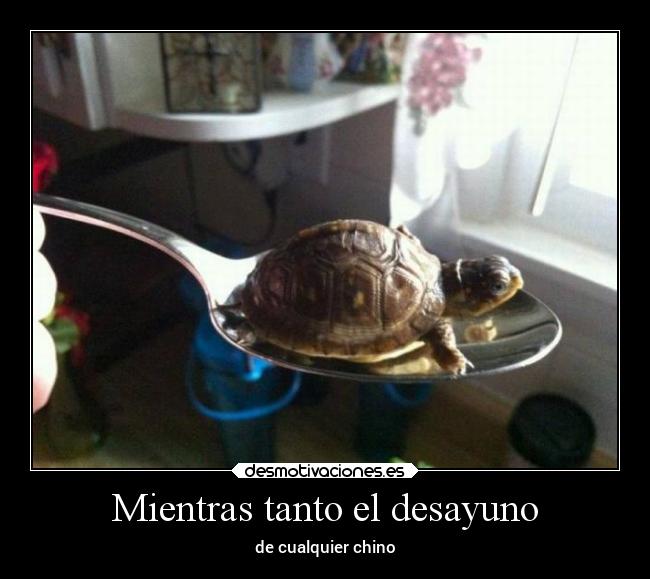 Mientras tanto el desayuno - de cualquier chino